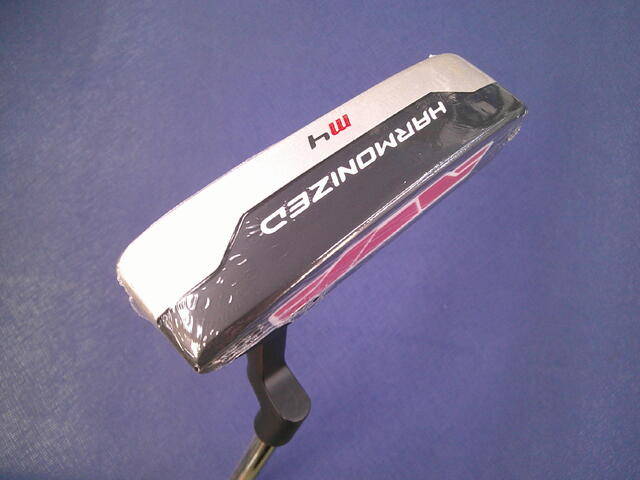 Wilson パター