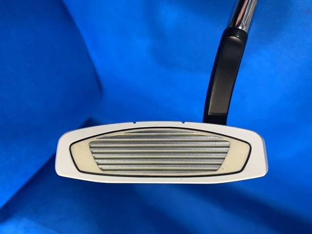 TaylorMade パター SPIDER EX PLATINUM/WHITE フローネック