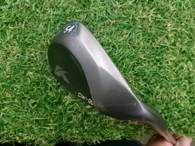 Kasco ウェッジ DOLPHIN WEDGE DW-120G BLK 54°