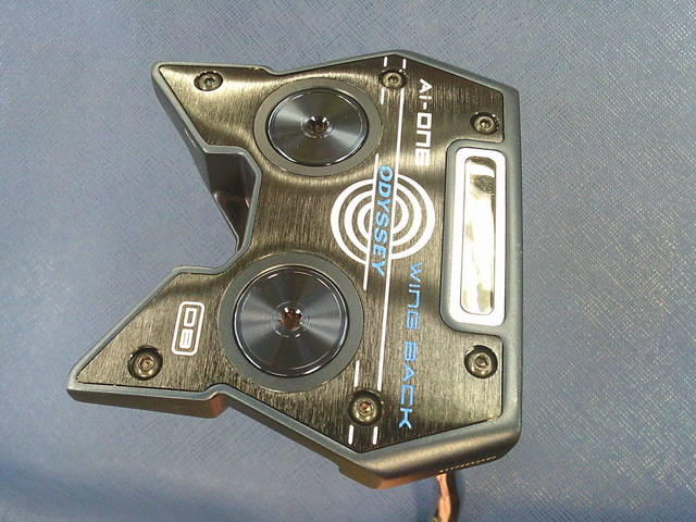 中古ゴルフ Ai-ONE WING BACKの写真