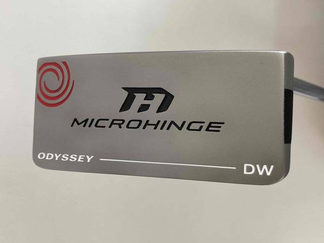中古ゴルフ MICROHINGE (2024) #DWの写真