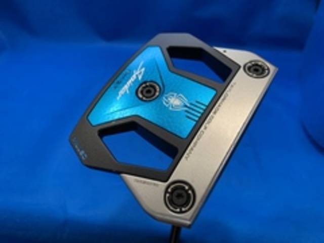 中古ゴルフ TaylorMade パターの写真