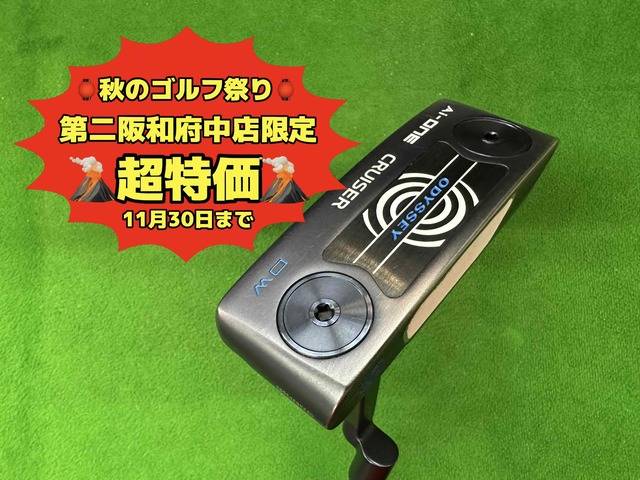 中古ゴルフ Ai-ONE CRUISER DOUBLE WIDE CHの写真