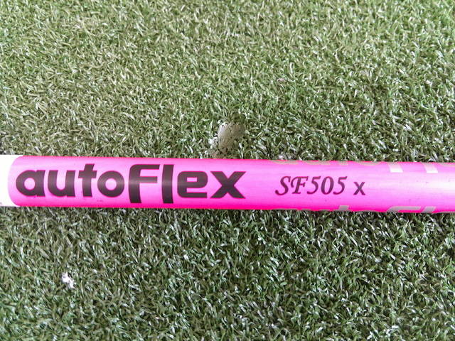 ※大型　顎太　産ケルブス♂野外標本 大型 顎太 産ケルブス♂野外標本 大型 顎太 産ケルブス♂野外標本